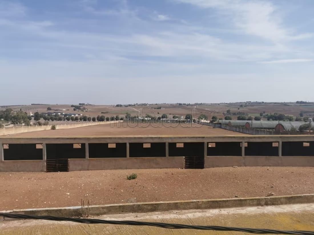 Vente de la ferme à Boustane. Superficie totale de 40000 m²