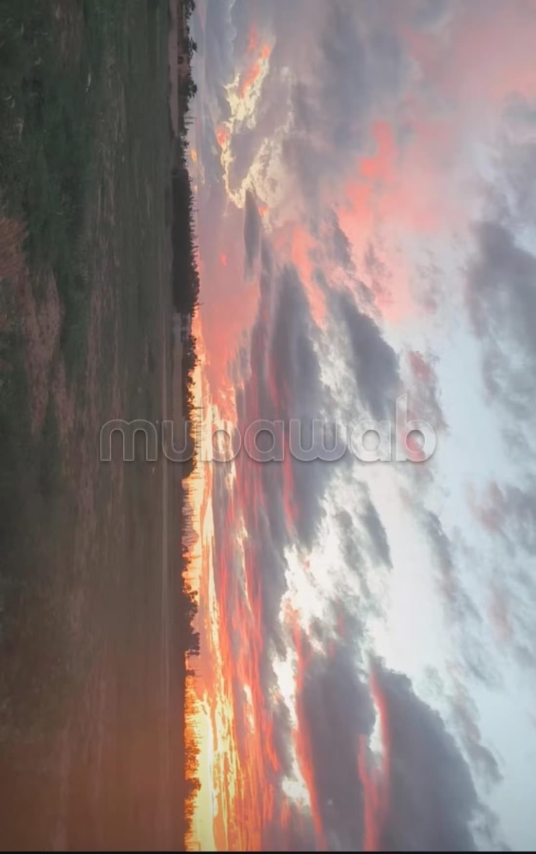 Terrain agricole 2,6 mlkiya à vendre