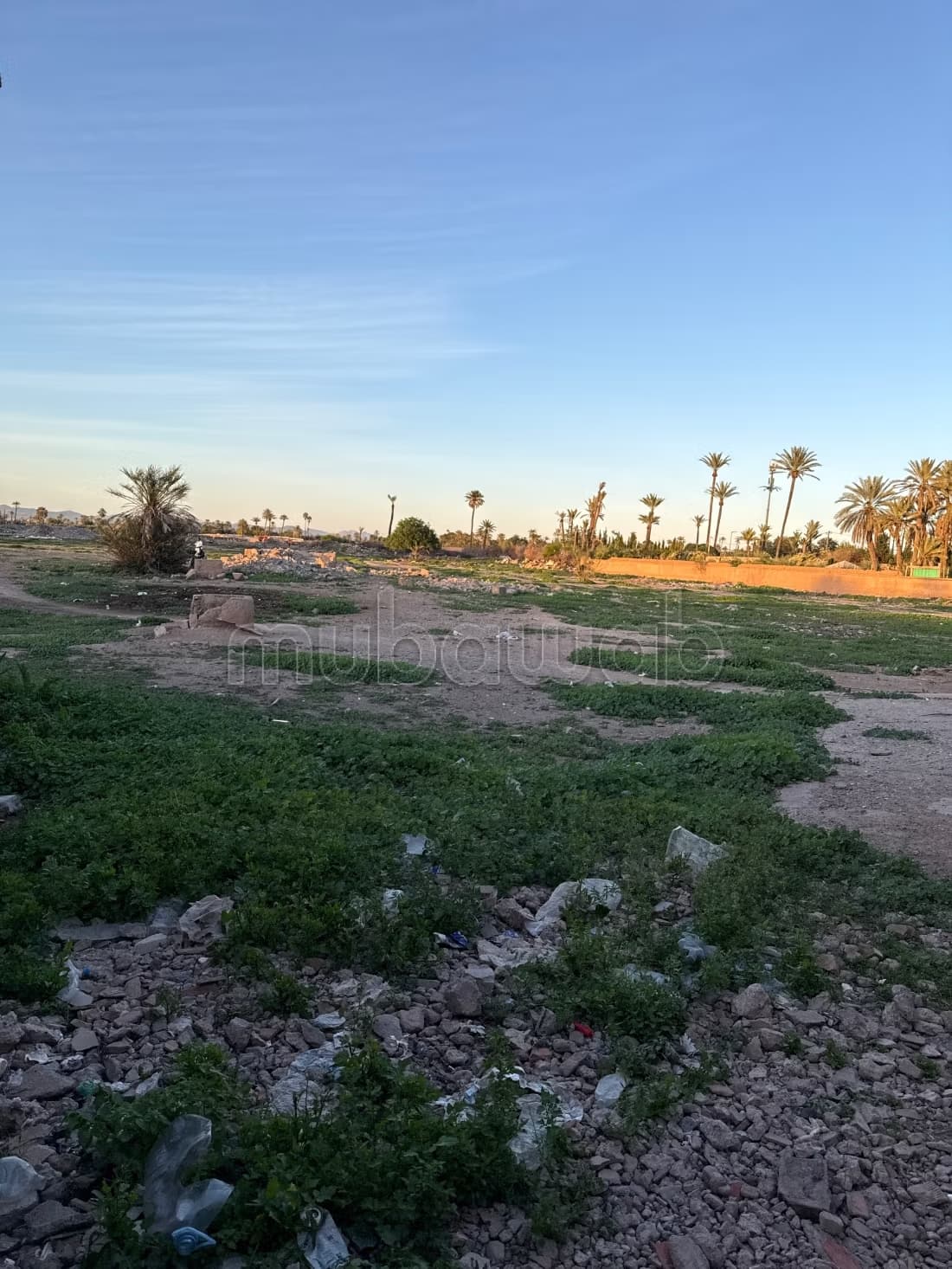 Opportunité exceptionnelle – terrain 7 hectares – palmeraie...
