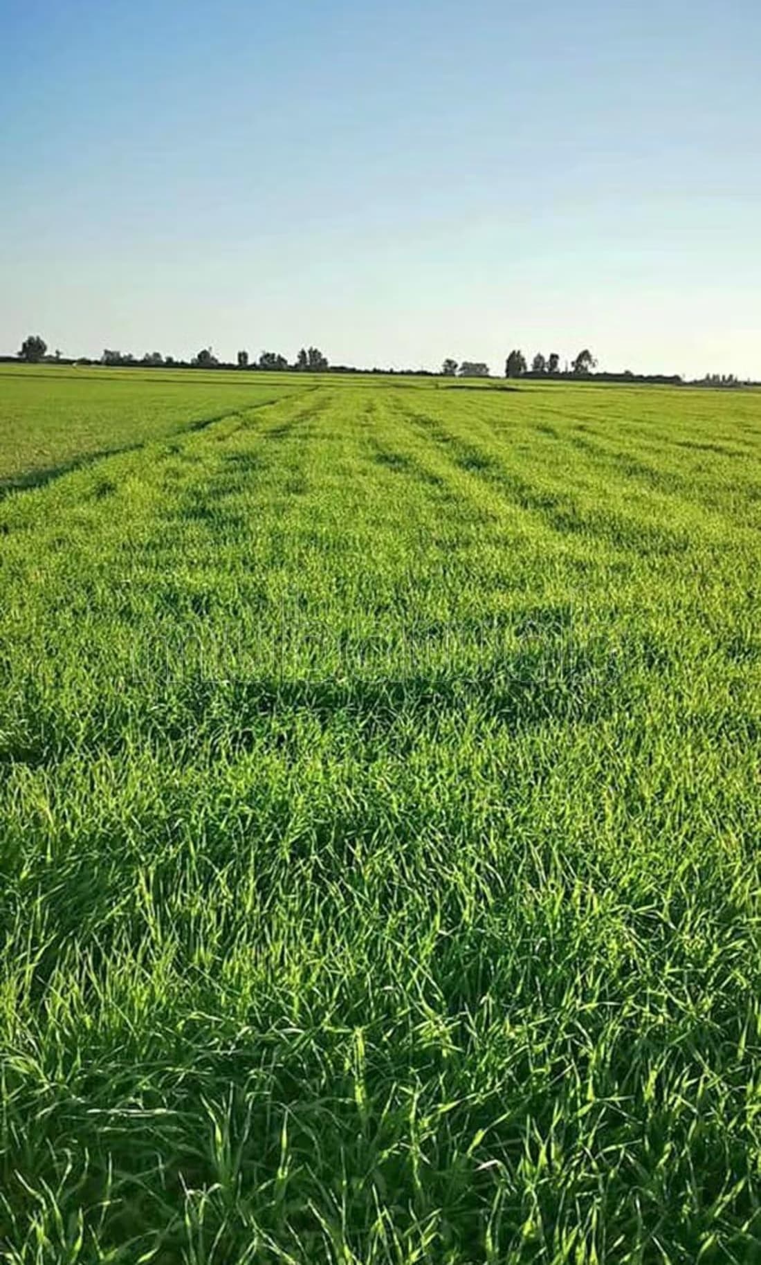 Vente terrain ain attig zone industriel