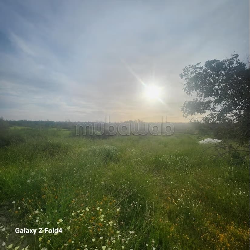 Terrain de 12000m²