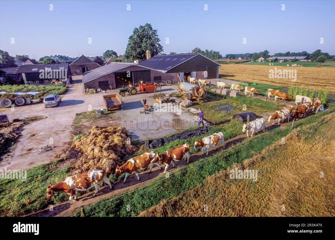 Ferme à vendre