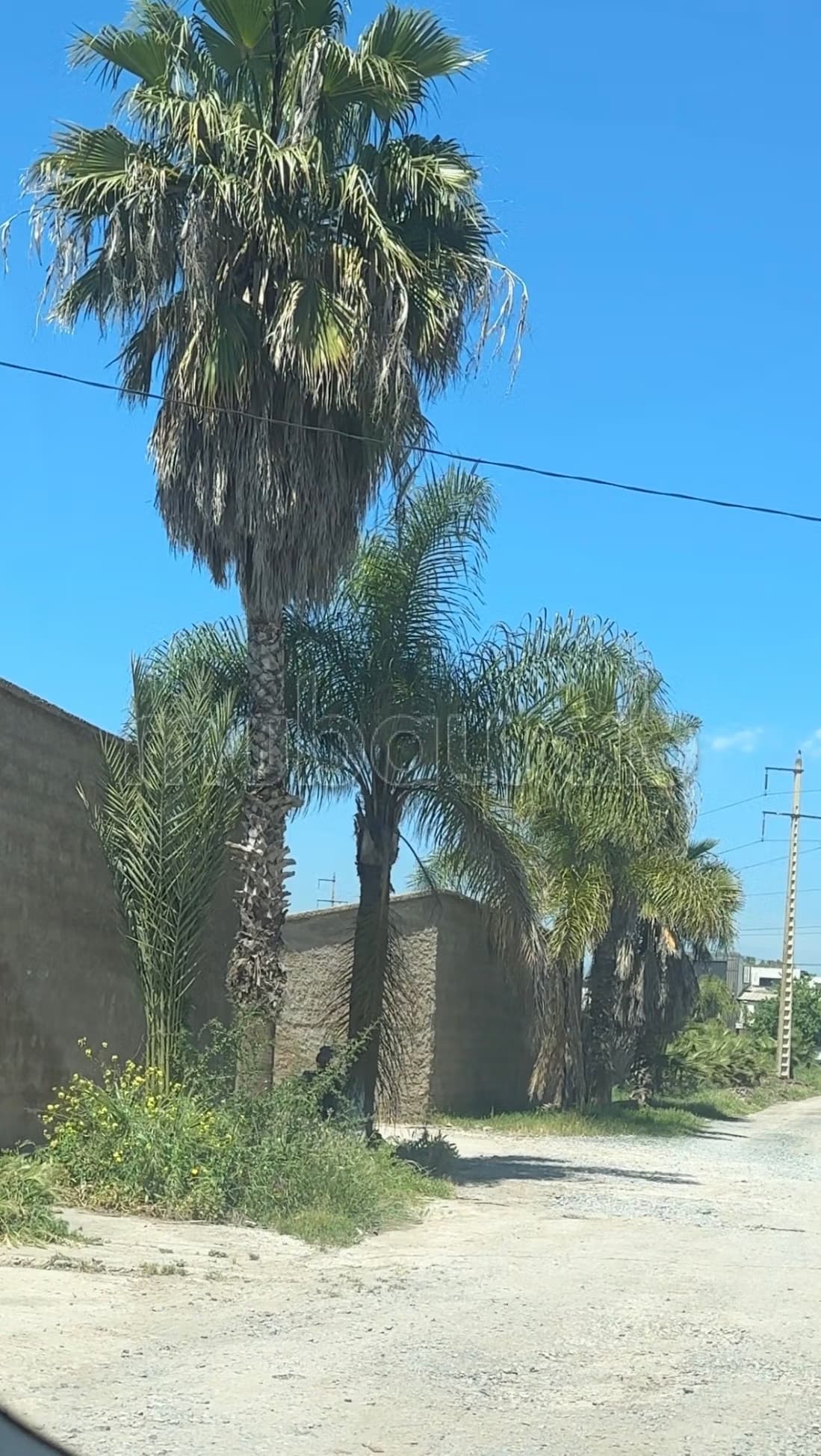 Terrain en vente à Oulad Ogba. Superficie 2000 m²