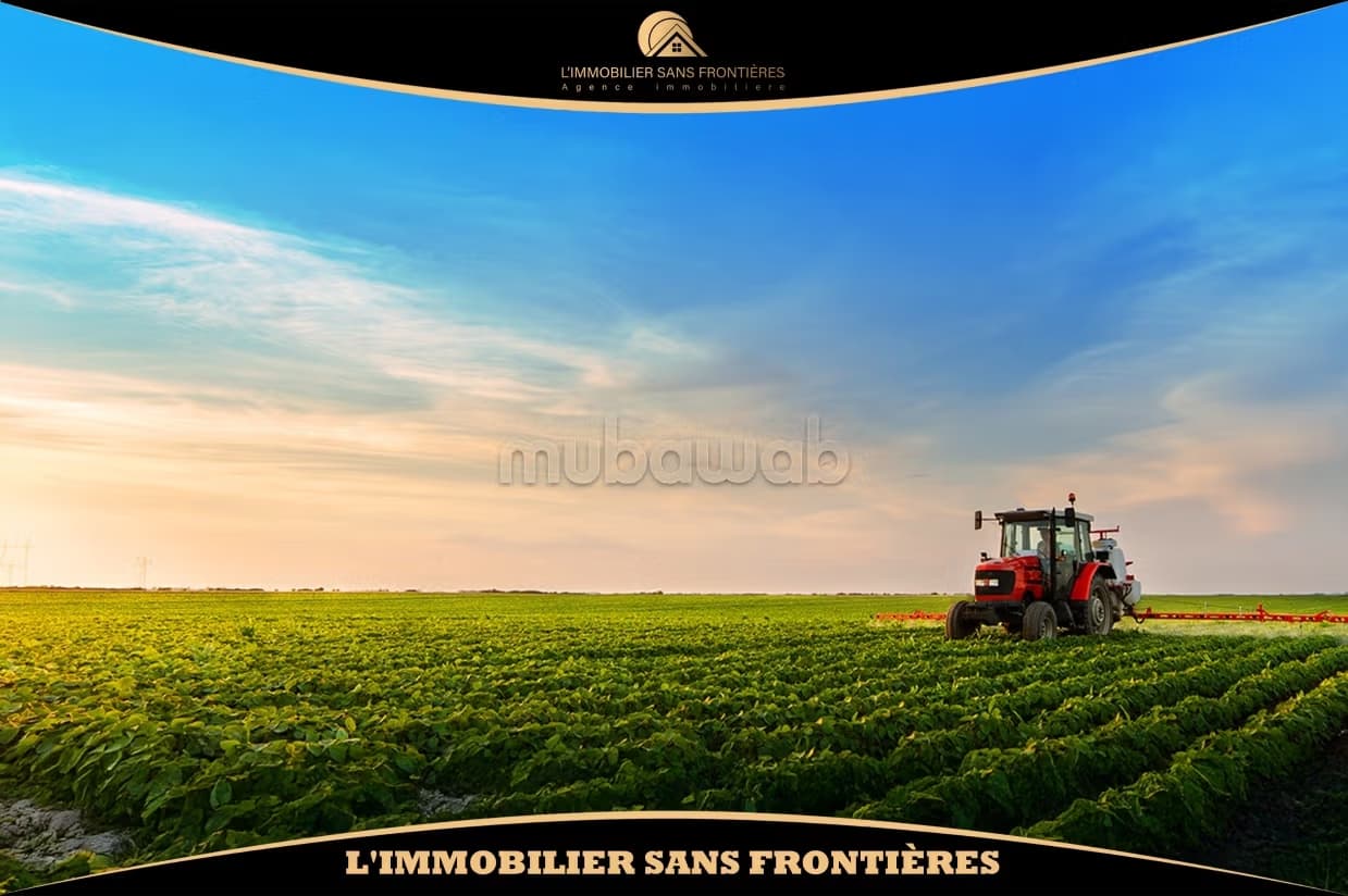 Ferme agricole titrée à vendre – 11 Ha 20 Ares – 7 titres fo...