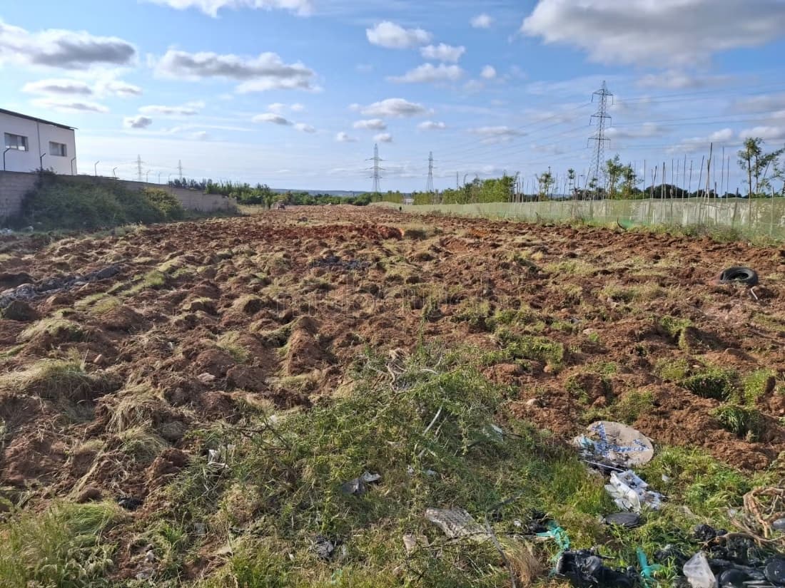 TERRAIN TITRE 1.2 hectares