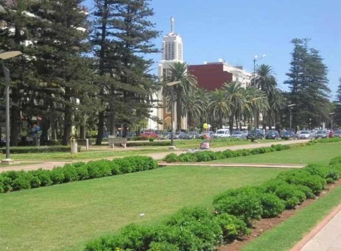 Studio meublé parc mohammedi1
