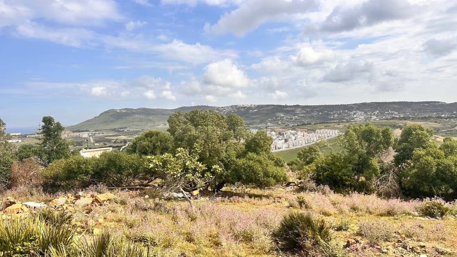 Terrain en vente à jbila. Surface de 1165 m²