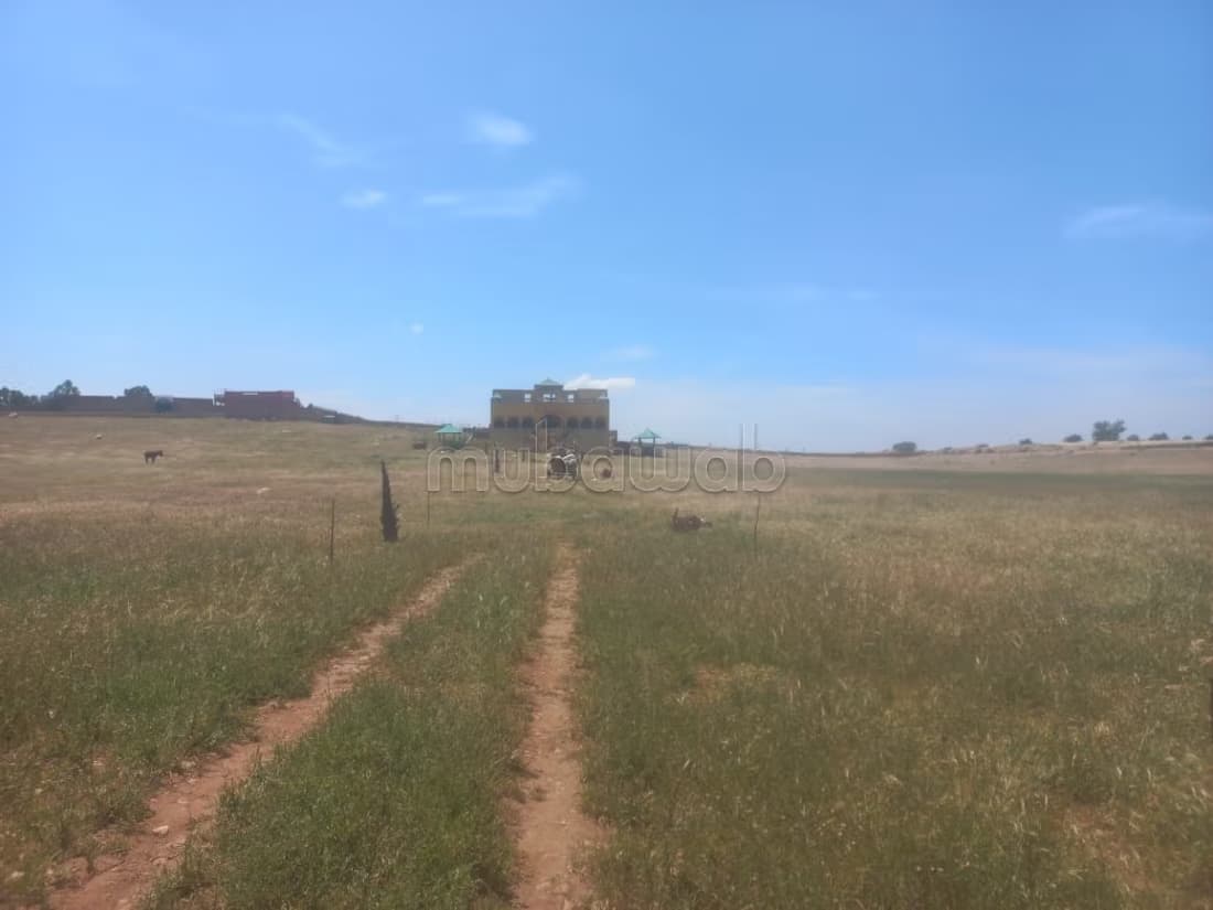 Beau terrain à la vente à coté de Safi Superficie 10000 m²
