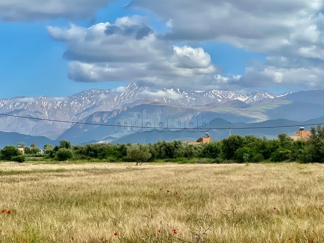 Terrain à vendre à Route de l'Ourika. Superficie 8336 m²