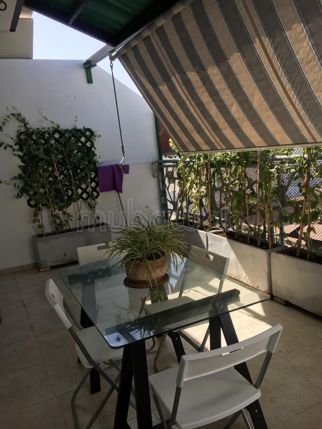 Studio Gauthier 18 m2 de terrasse