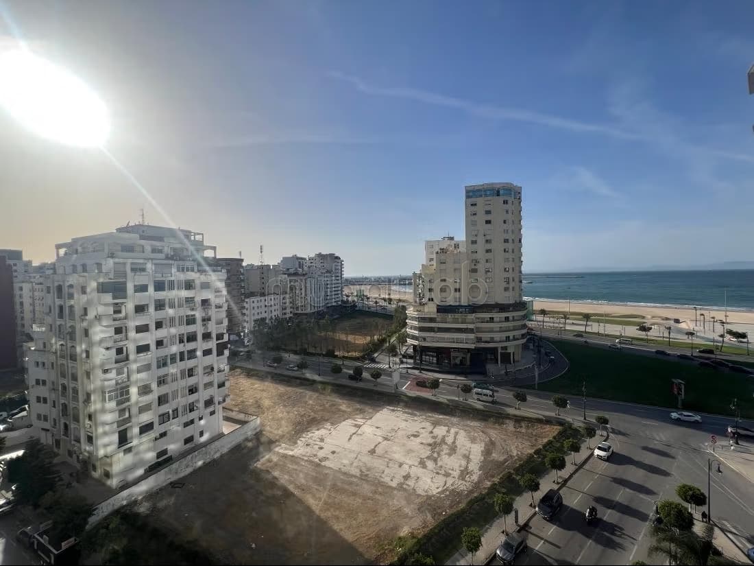 Magnifique appartement de standing en plein centre ville ave...