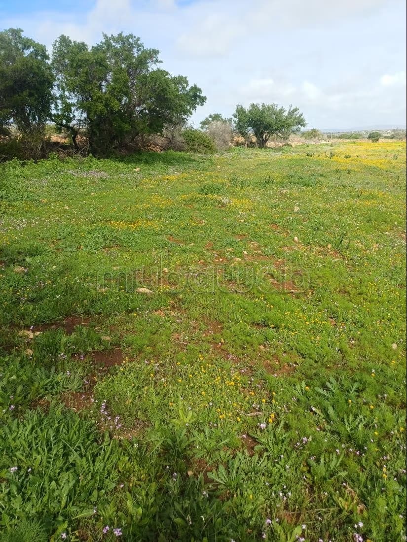 Terrain de 1ha