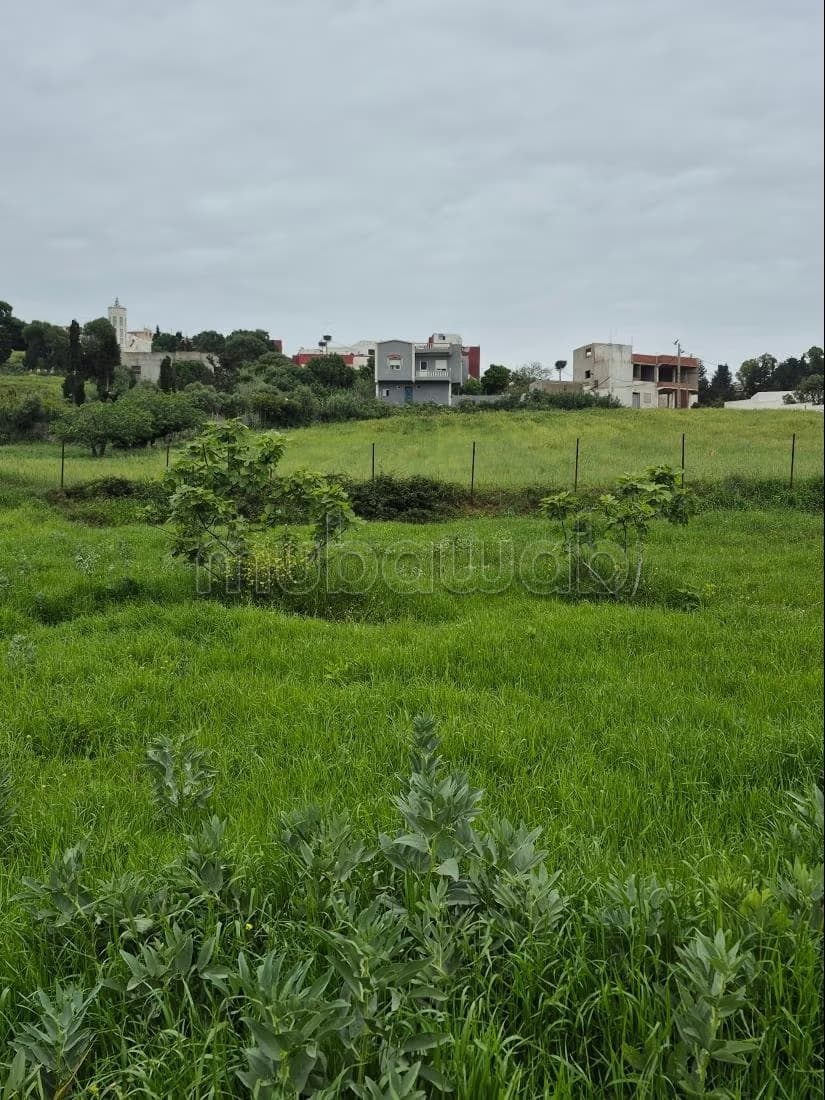 Joli terrain au centre de Malaliyinne