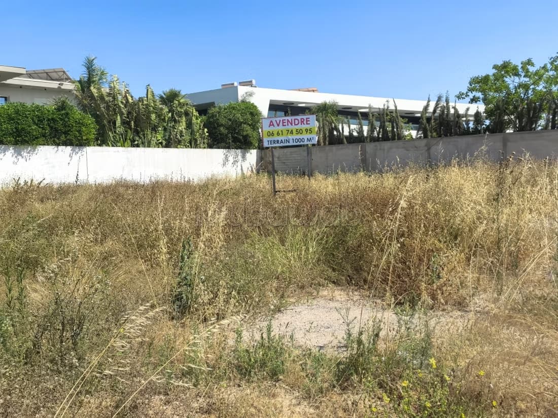 Terrain 1000 m a vendre ville verte