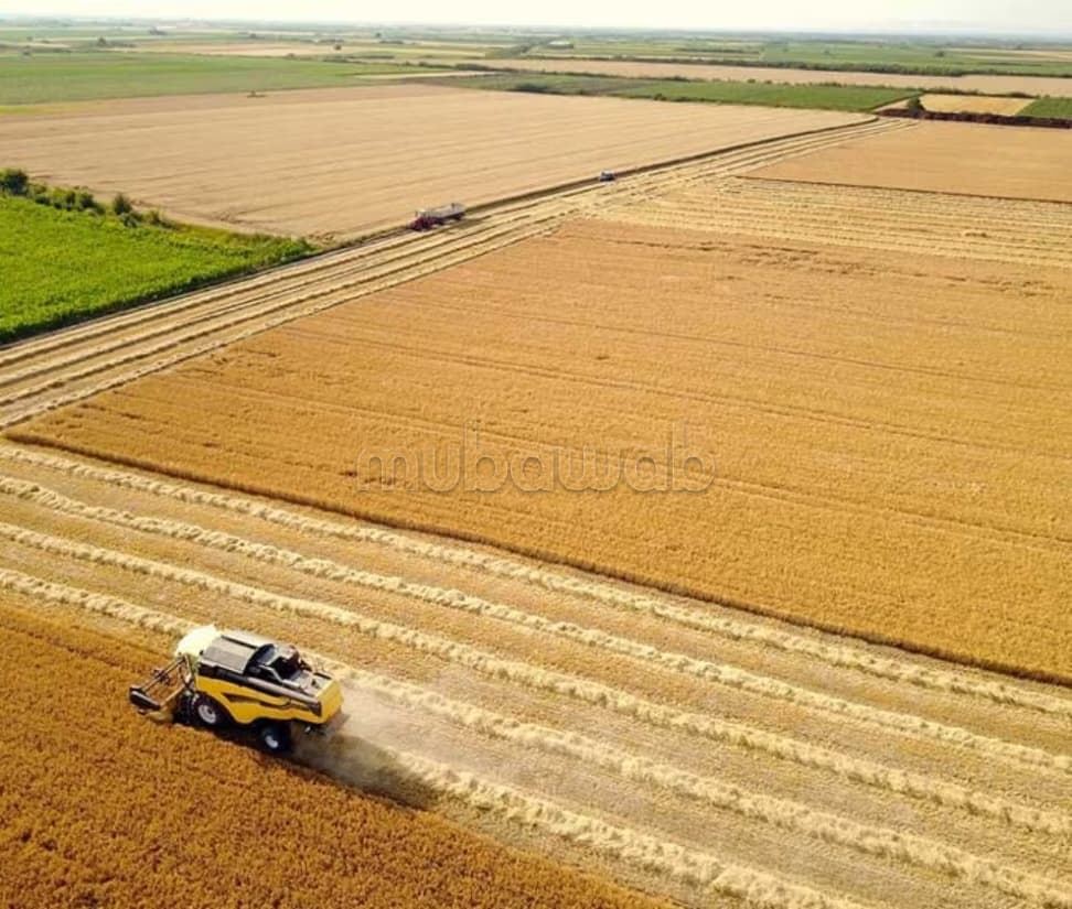 Terrain agricol plat sur route goudronnée proximité Dar dow...