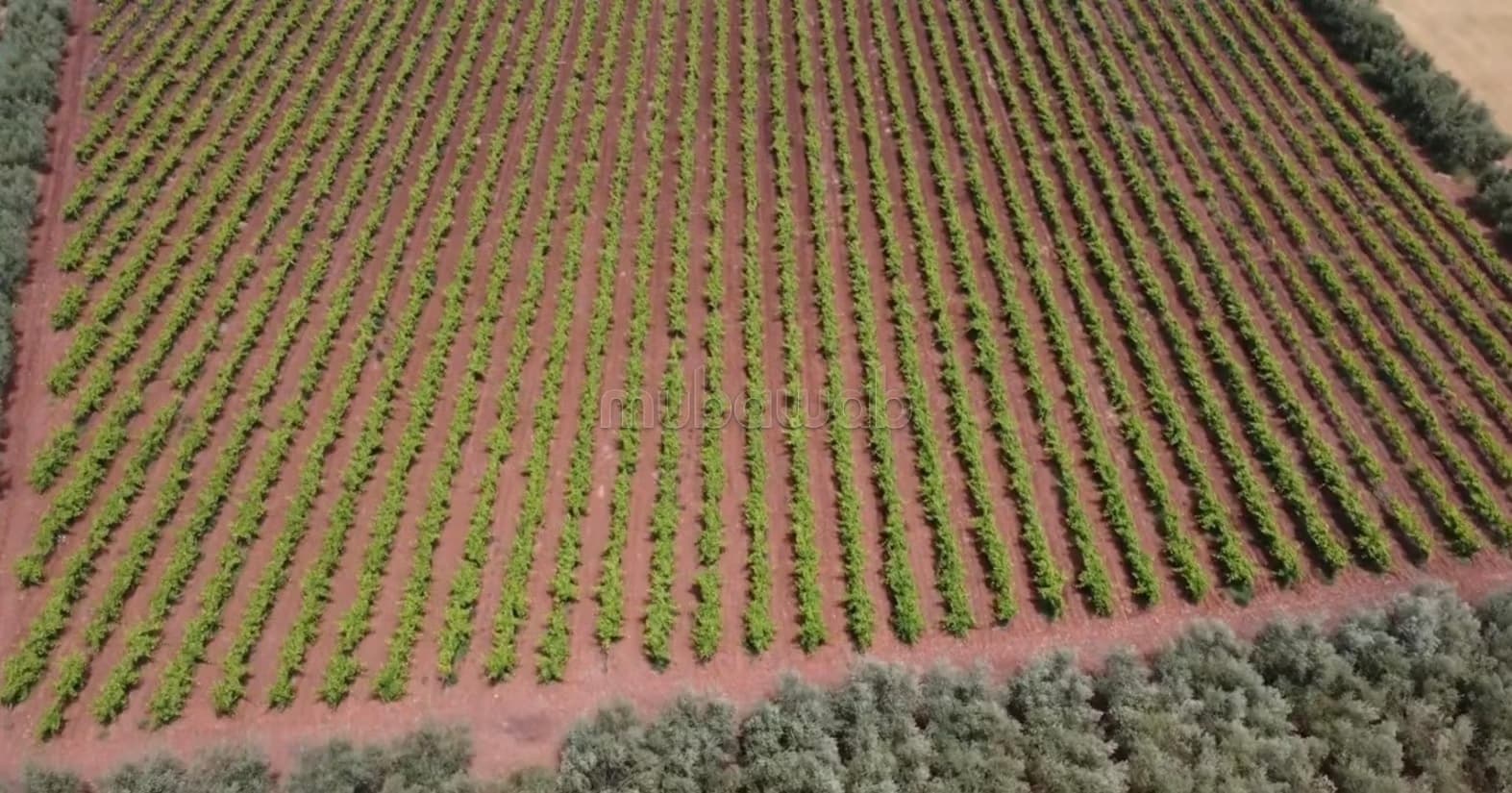 Ferme bien équipée Ain aghbal proximité domaine zniber 4 hec...