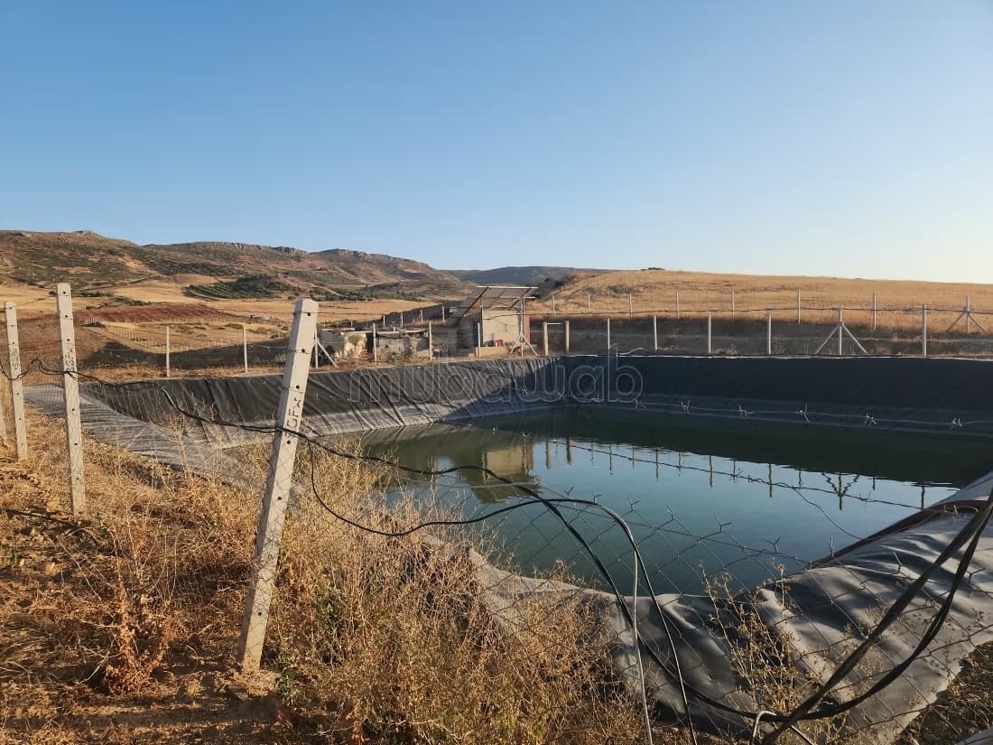 Ferme kharoub 20 hectares sur route goudronnée 1 km de haje...