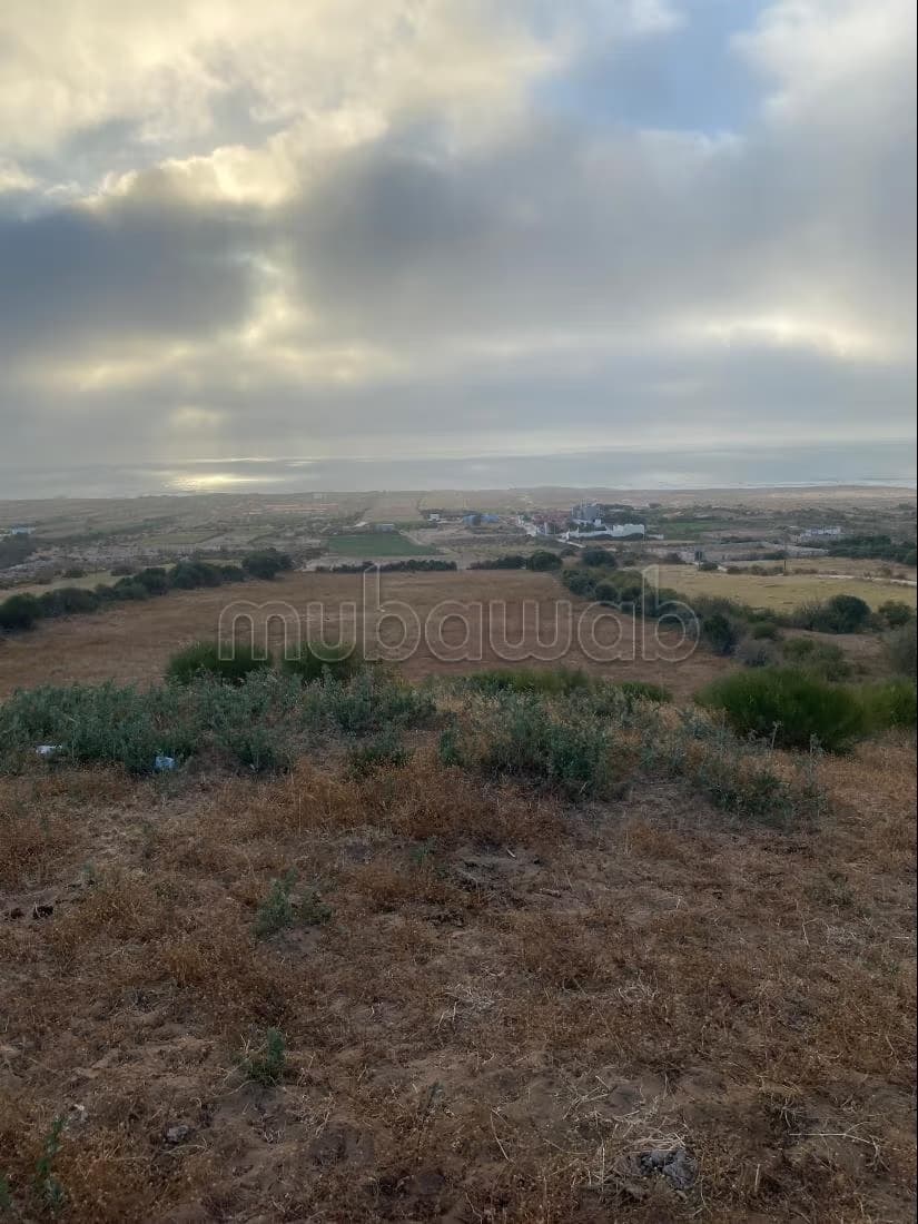 Terrain à vendre à la Skala. Superficie totale de 10000 m²