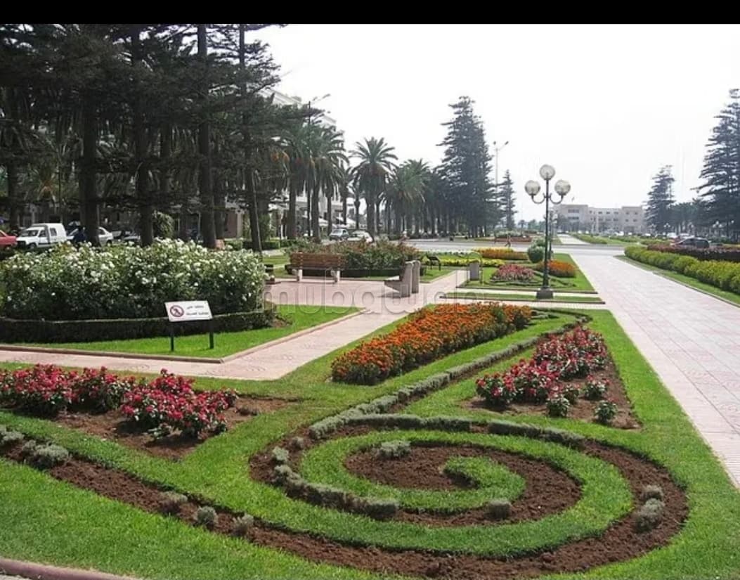 Apparemment parc mohammedia