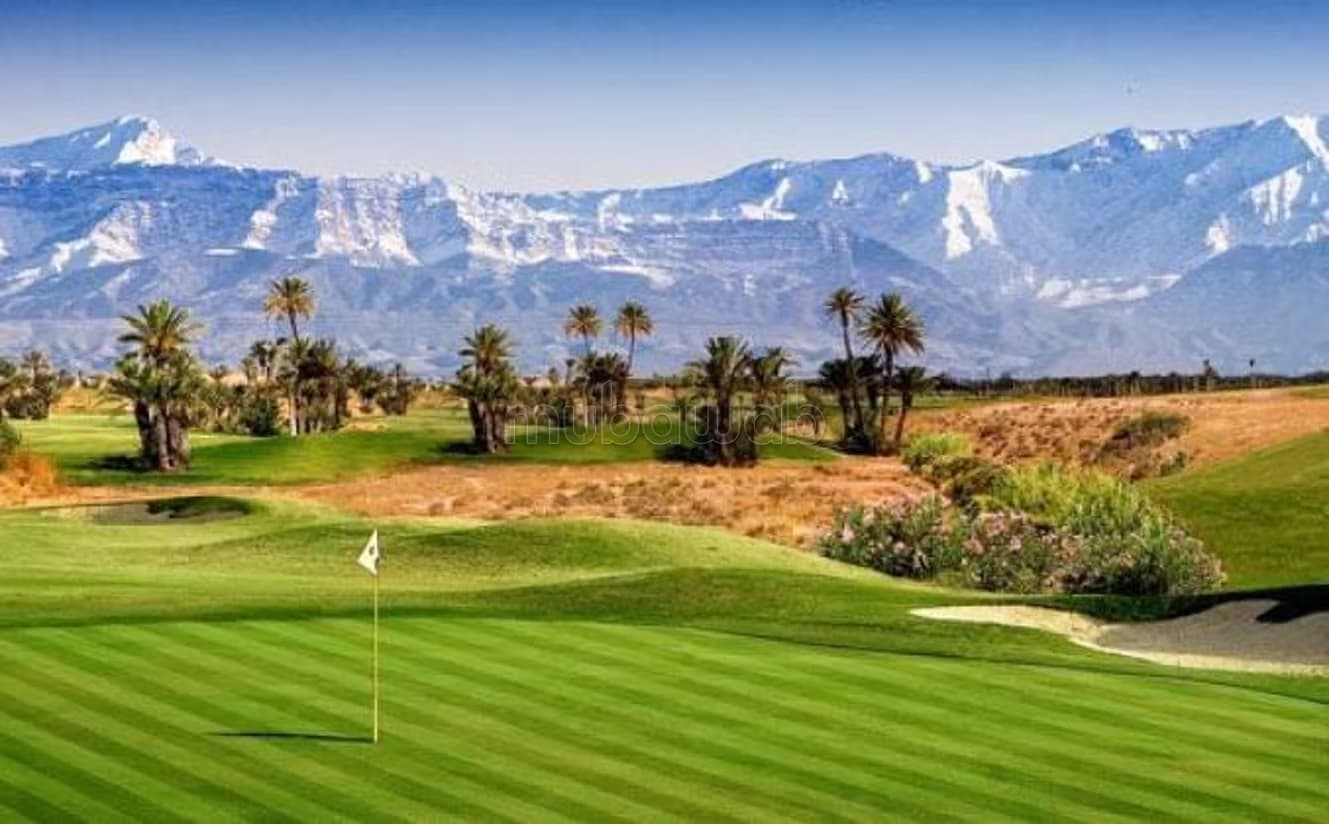 Terrain front golf amelkis