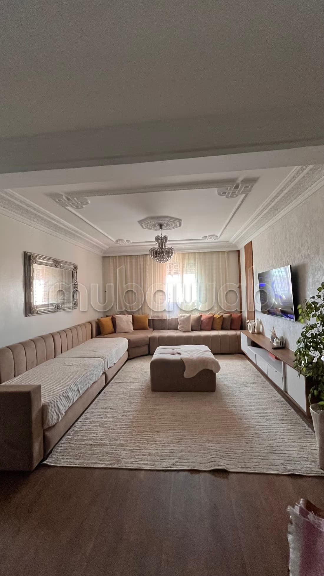 Appartement d'angle très ensoleillé a vendre