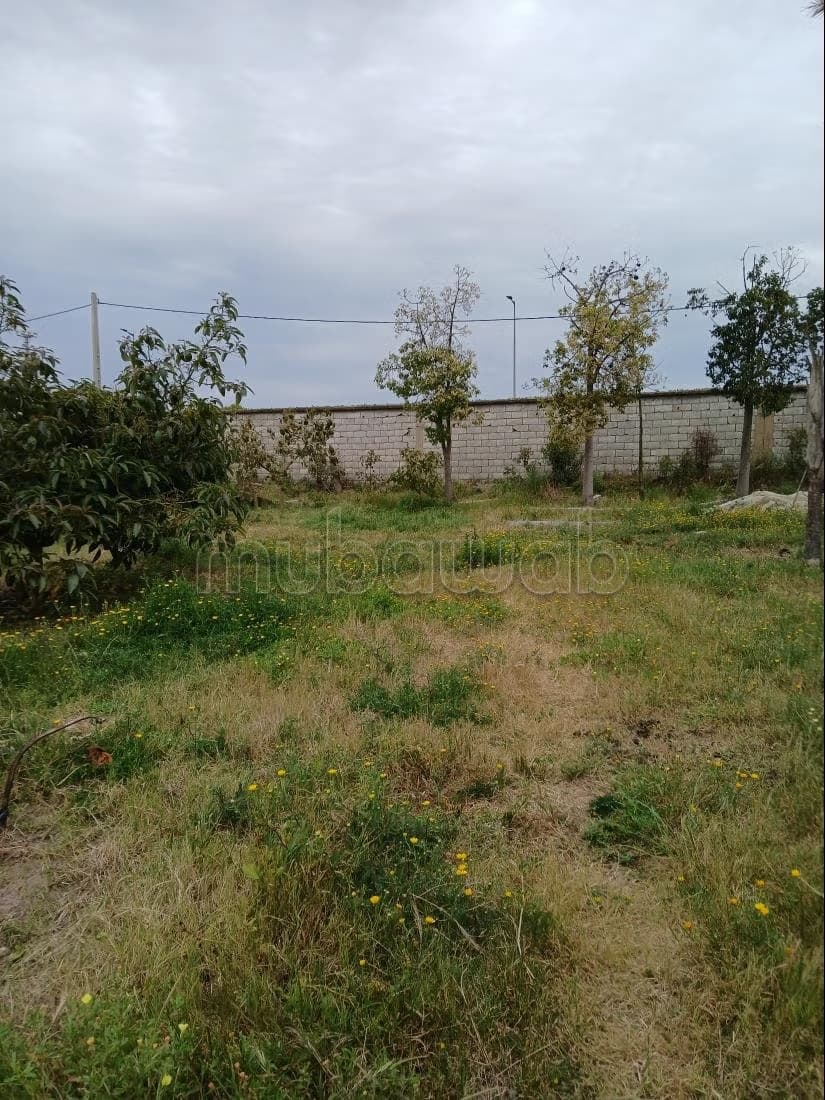Beau terrain à la vente à Skikina. Surface totale 206 m²