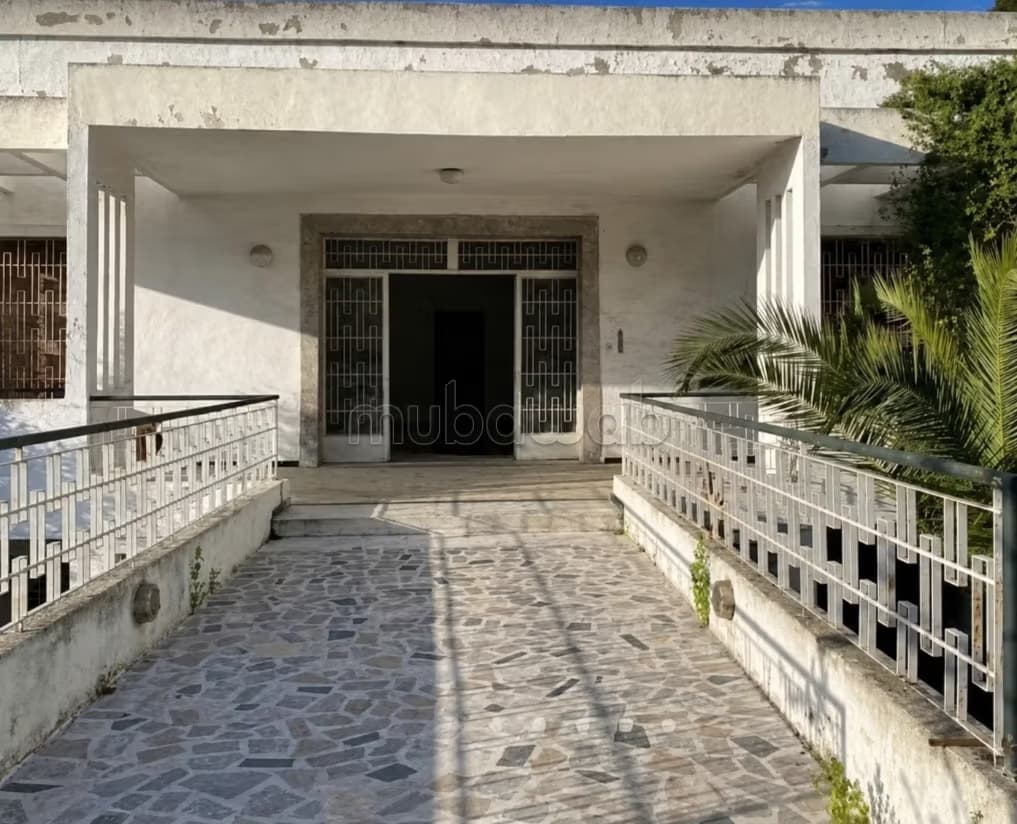 Villa à rénover ou démolir Polo 900m2