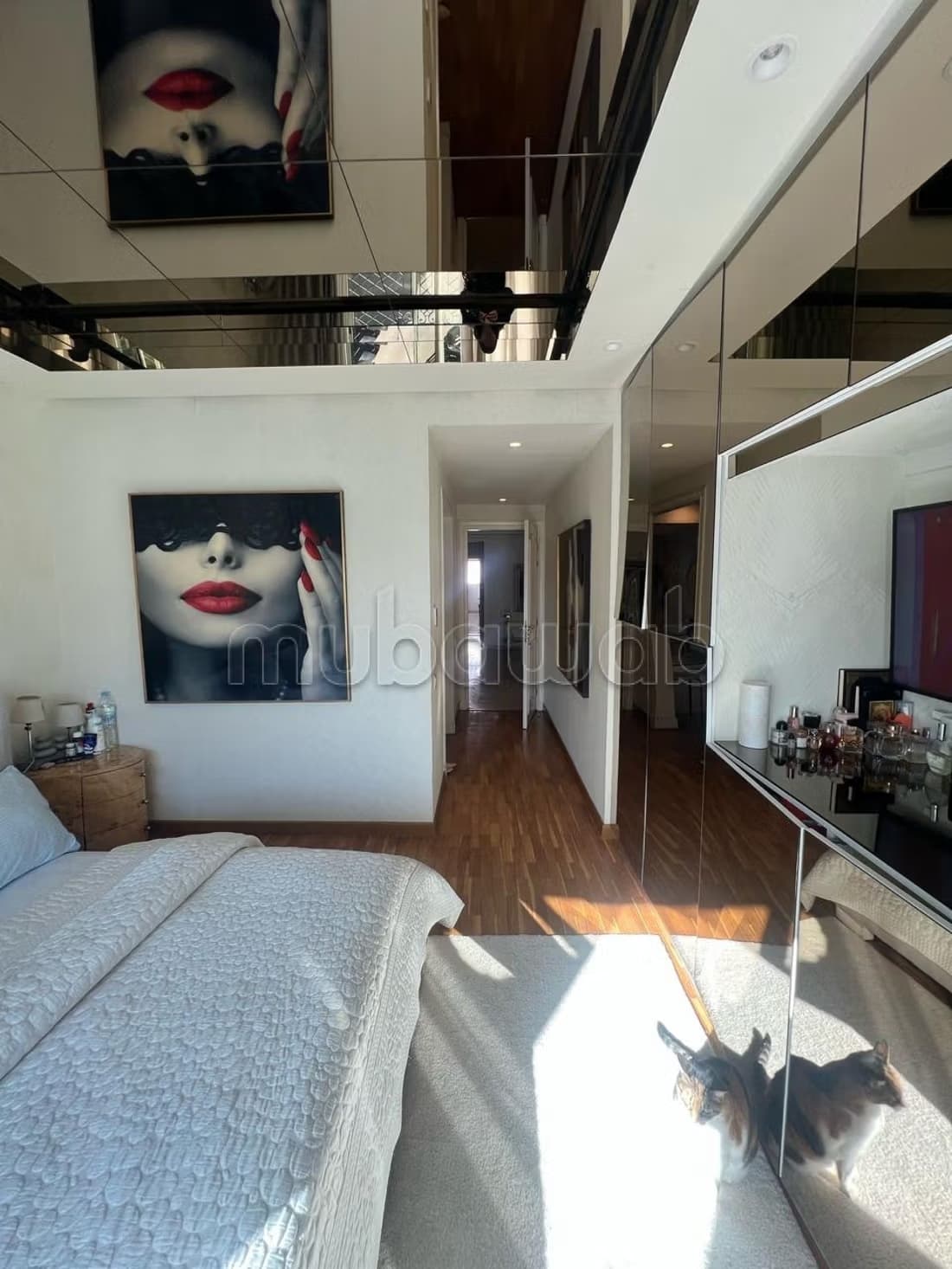 Superbe appartement meublé_Racine