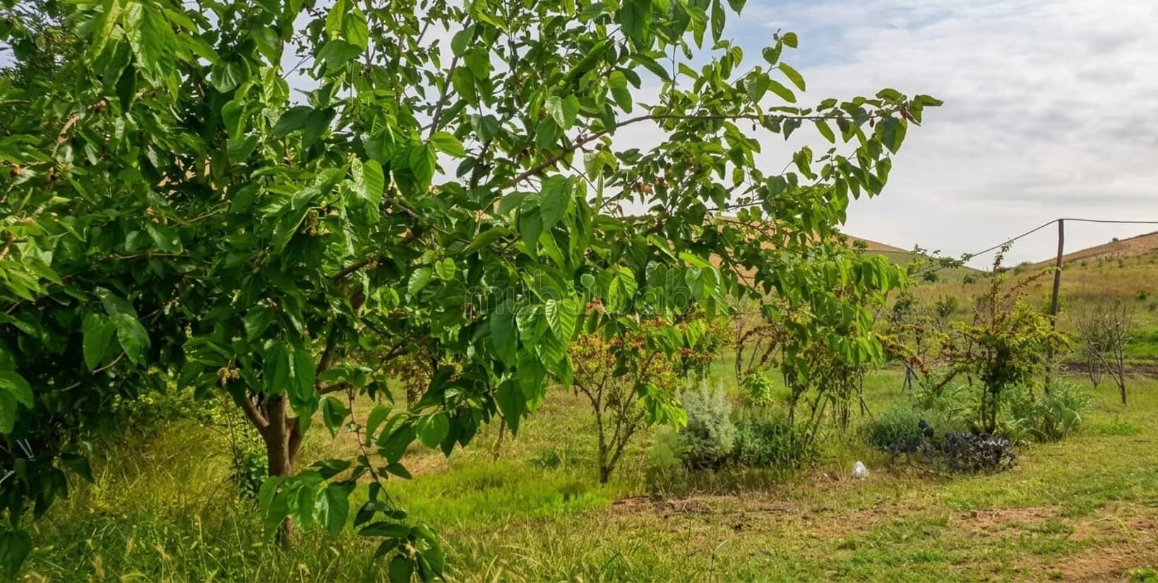 Ferme titrée à vendre région Rabat Salé