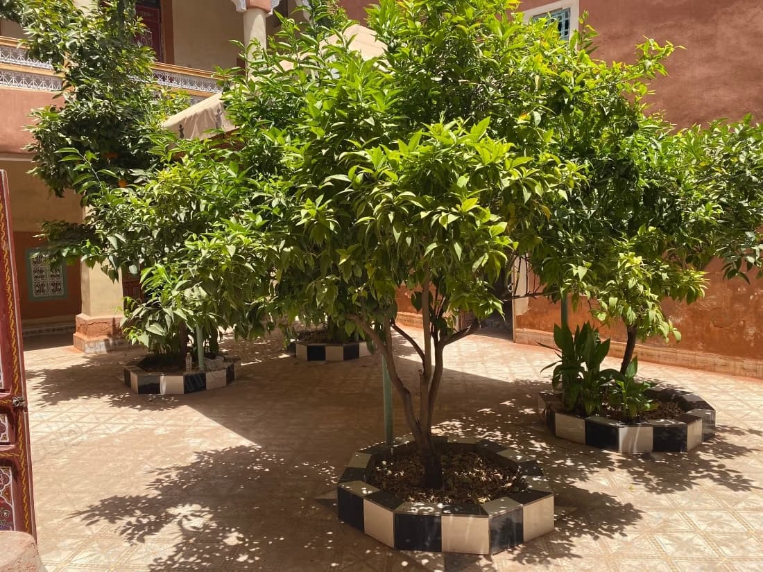 Riad melkia 243 m² à Zaouia El Abbassia