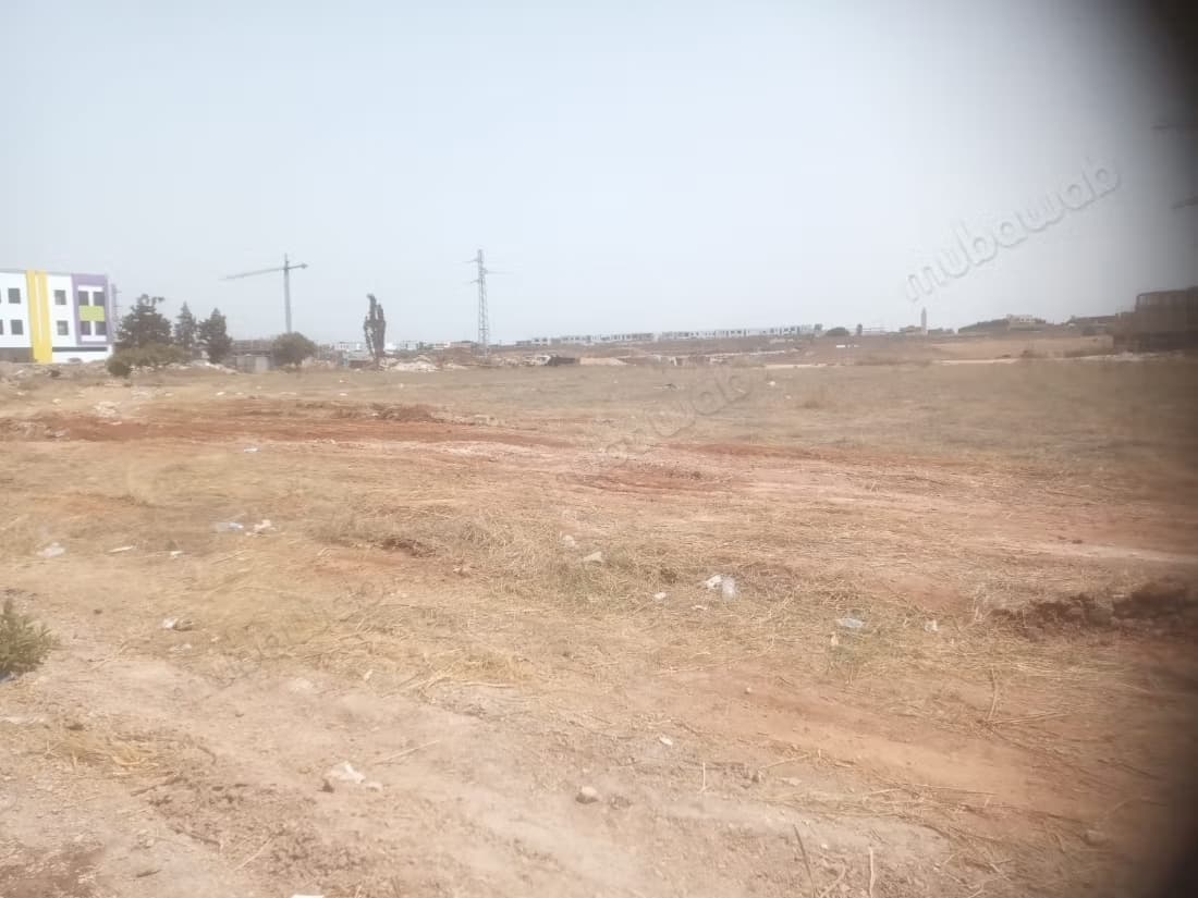 Terrain de vente 2 hectares 80 cent sidi maarouf