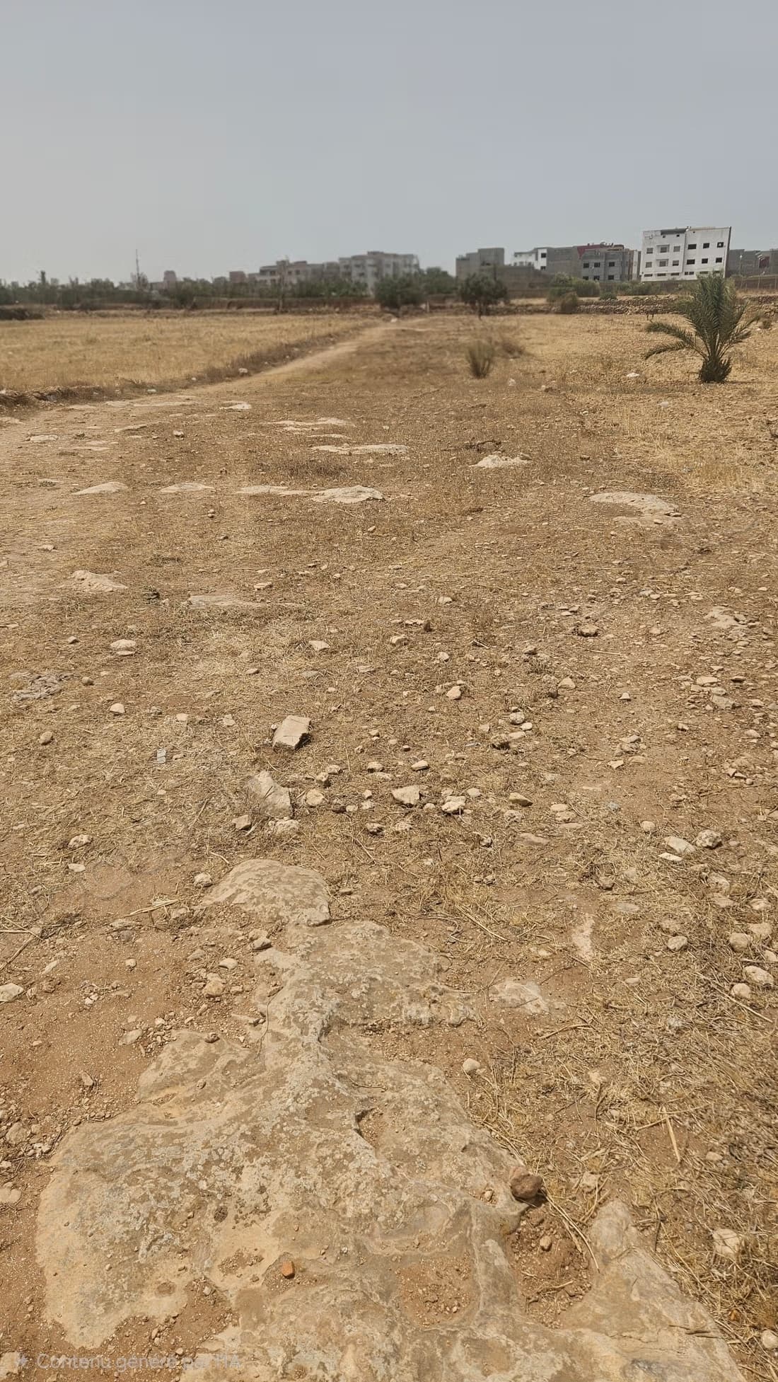 Terrain/terre a vendre