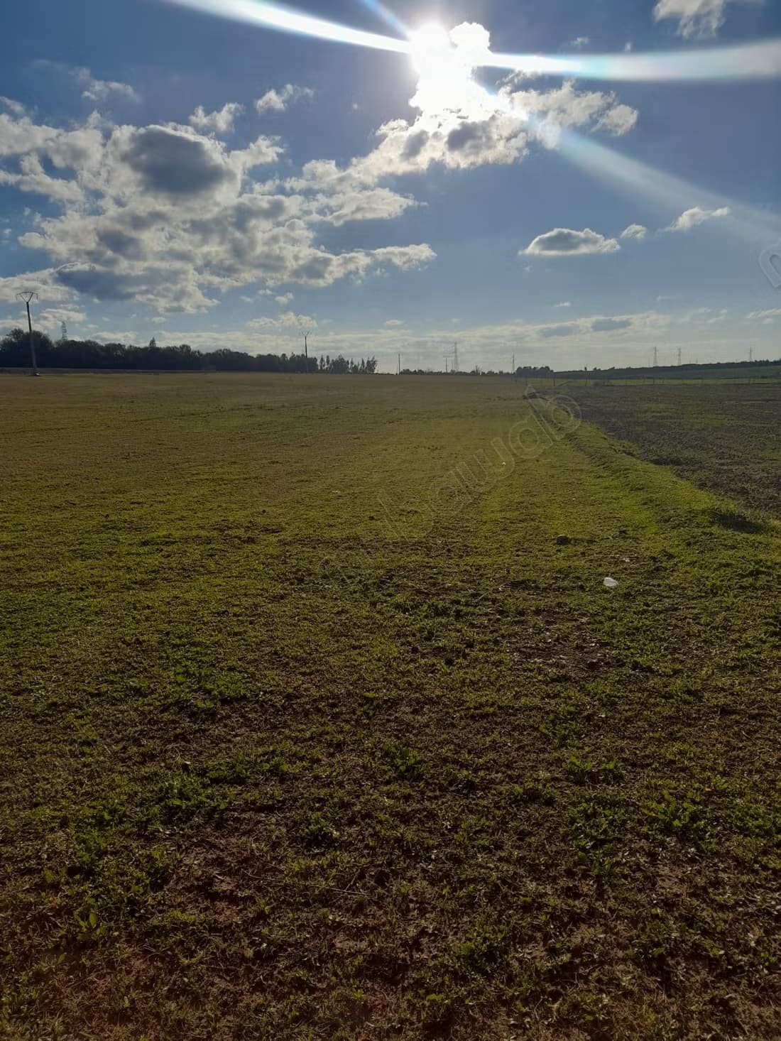 Terrain en vente à shoul sale Superficie 23000 m²