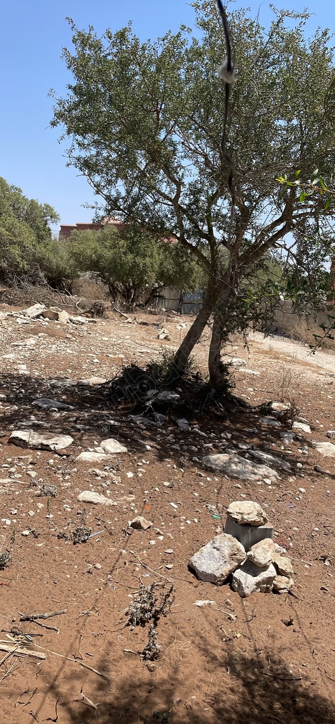 Terrain à vendre à Sidi Kaouki. Superficie 9000 m²