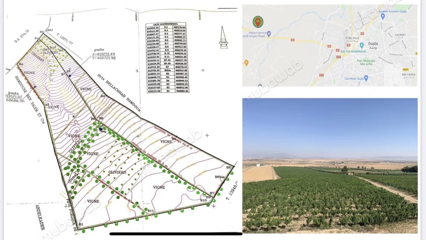 Ferme agricole à vendre – 24 hectares
