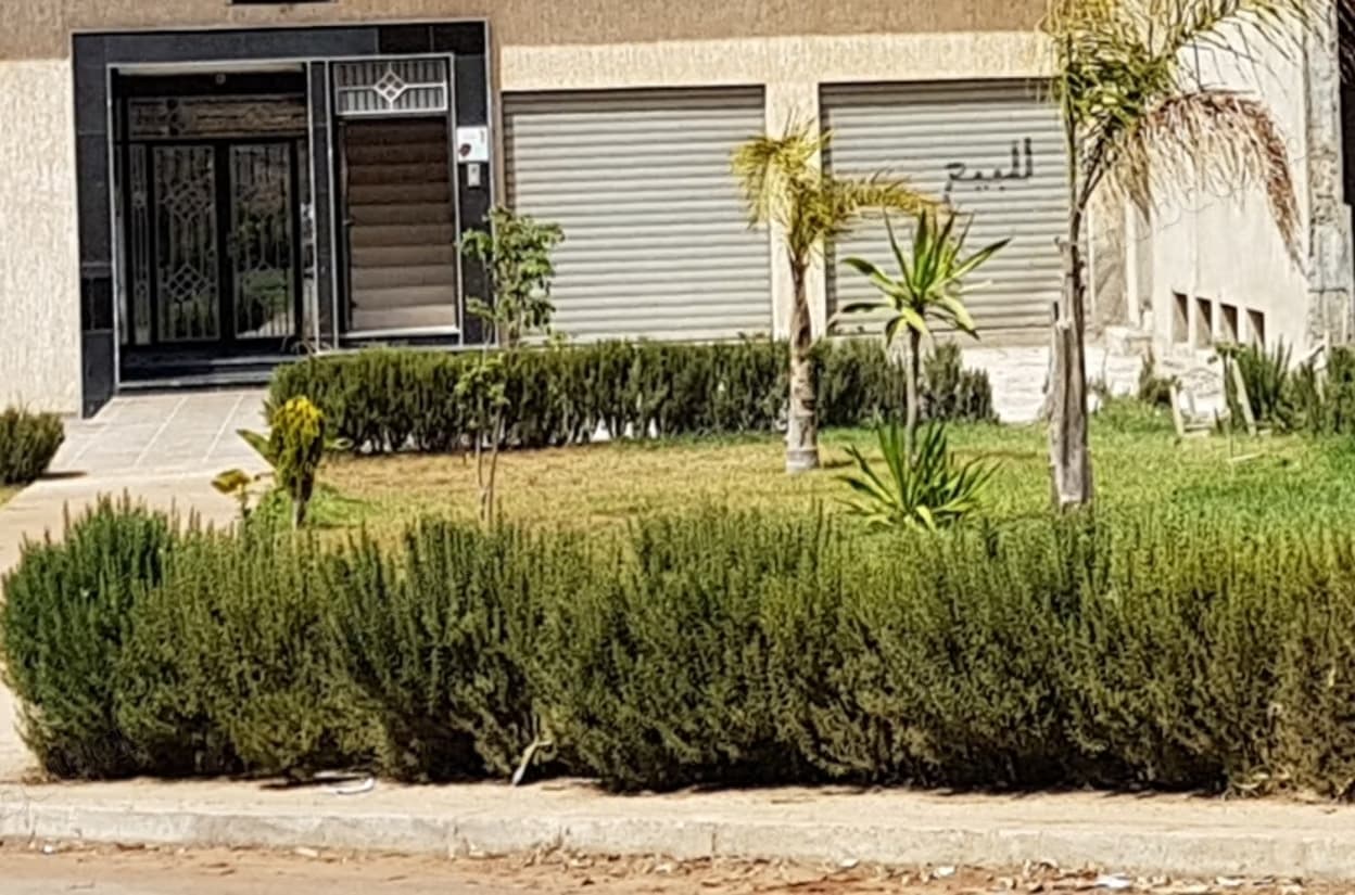 Local commercial