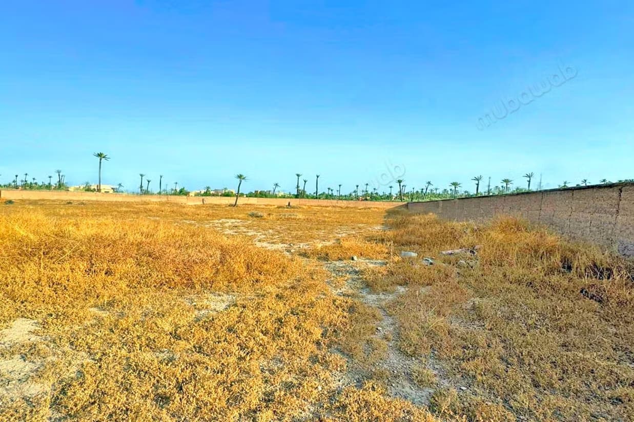 Terrain titré et clôturé à vendre de 13870 m² Palmeraie