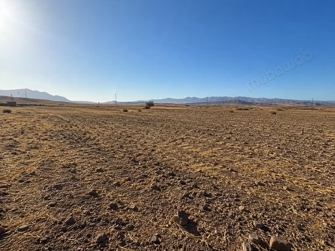 Terrain de 8 hectares à vendre – Borous, Marrakech