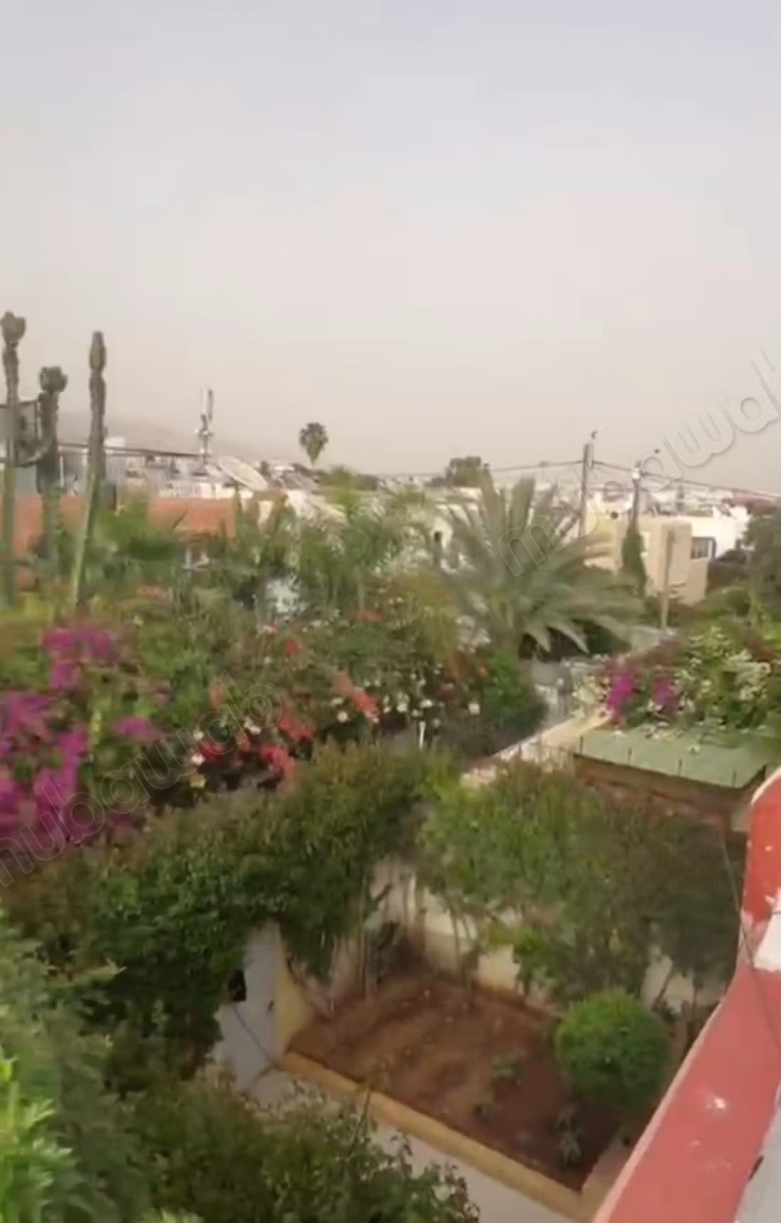 Splendide villa à vendre à Charaf. 3 grandes pièces