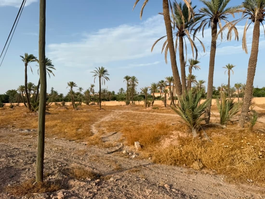 À vendre – exceptionnel terrain de 1,5 hectare à la palmerai...