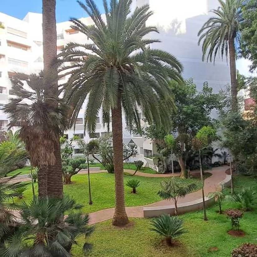 Appartement à Louer de 137.0 m² à Casablanca, Moulay Youssef
