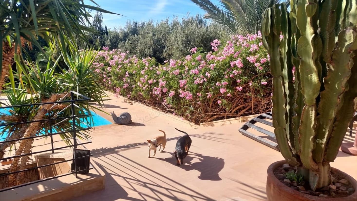 Grande Villa avec VNA Jardin et piscine privée