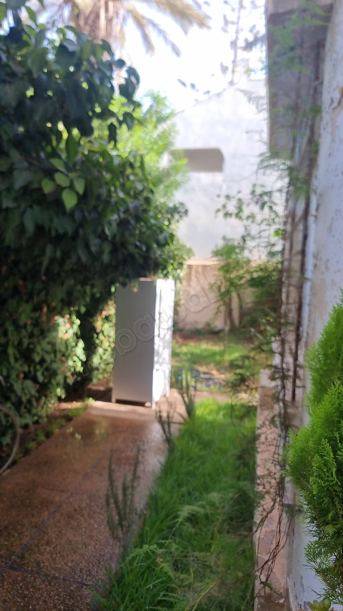 Boutique a vendre Superficie 25 m²