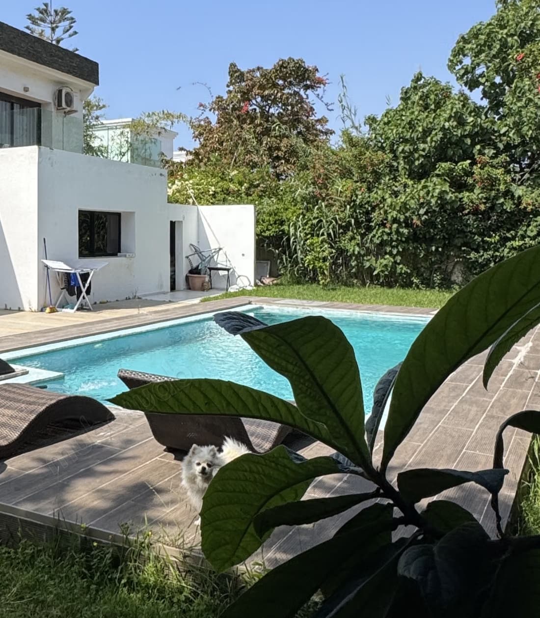 Vente villa moderne