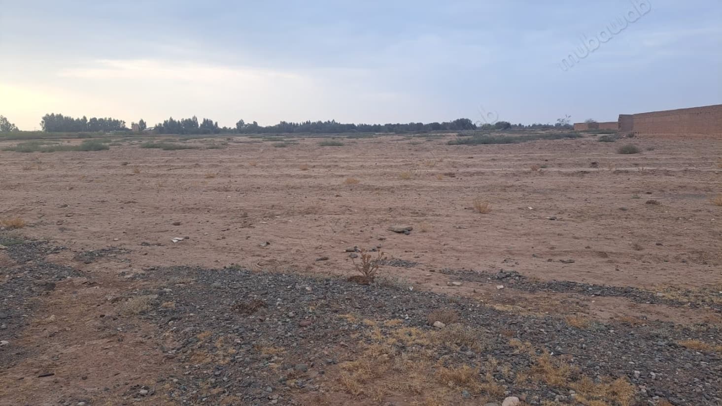 Terrain en vente à Route d'Agadir Essaouira. Superficie 720...