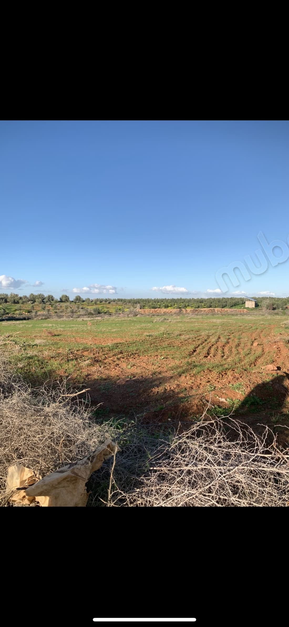 Terrain en vente à Route de l'Ourika. Superficie 8000 m²