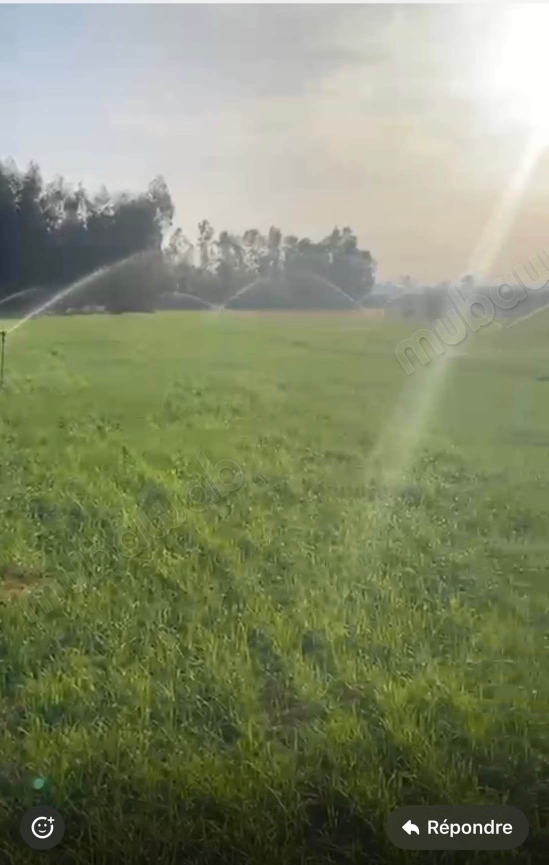 Vente terrain 5 km El jadida. Superficie 10500 m²