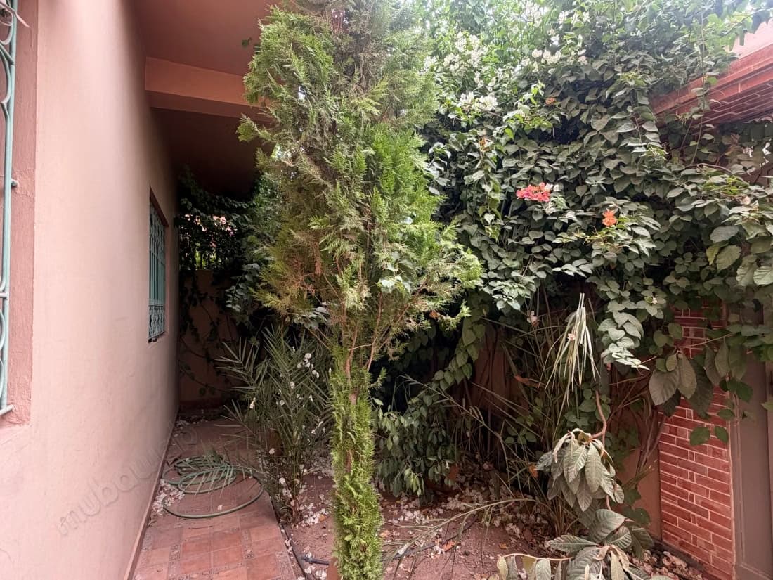 Find a house to rent in Bouaakkaz. Dimension 170 m². Green a...