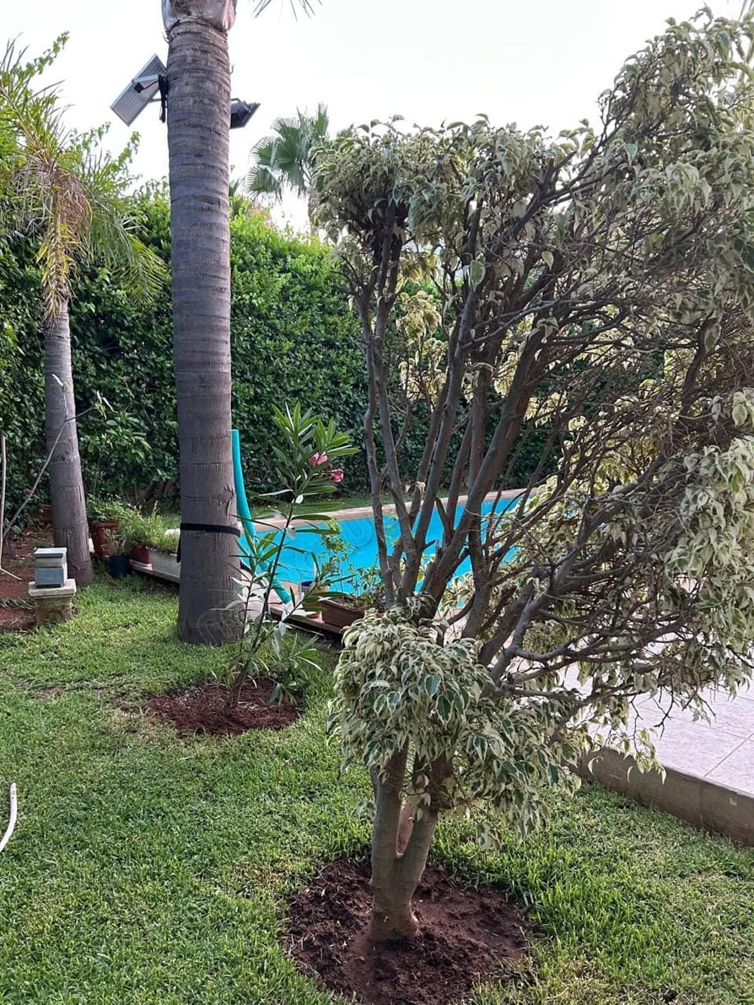 Villa de luxe à vendre à Riyad. 11 pièces confortables. Serv...