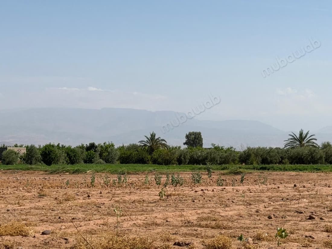 Terrain ***-****** m² – Vue Atlas à 20 km de Marrakech
